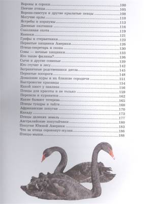 Птицы с доставкой по Минску от 70 рублей бесплатно!